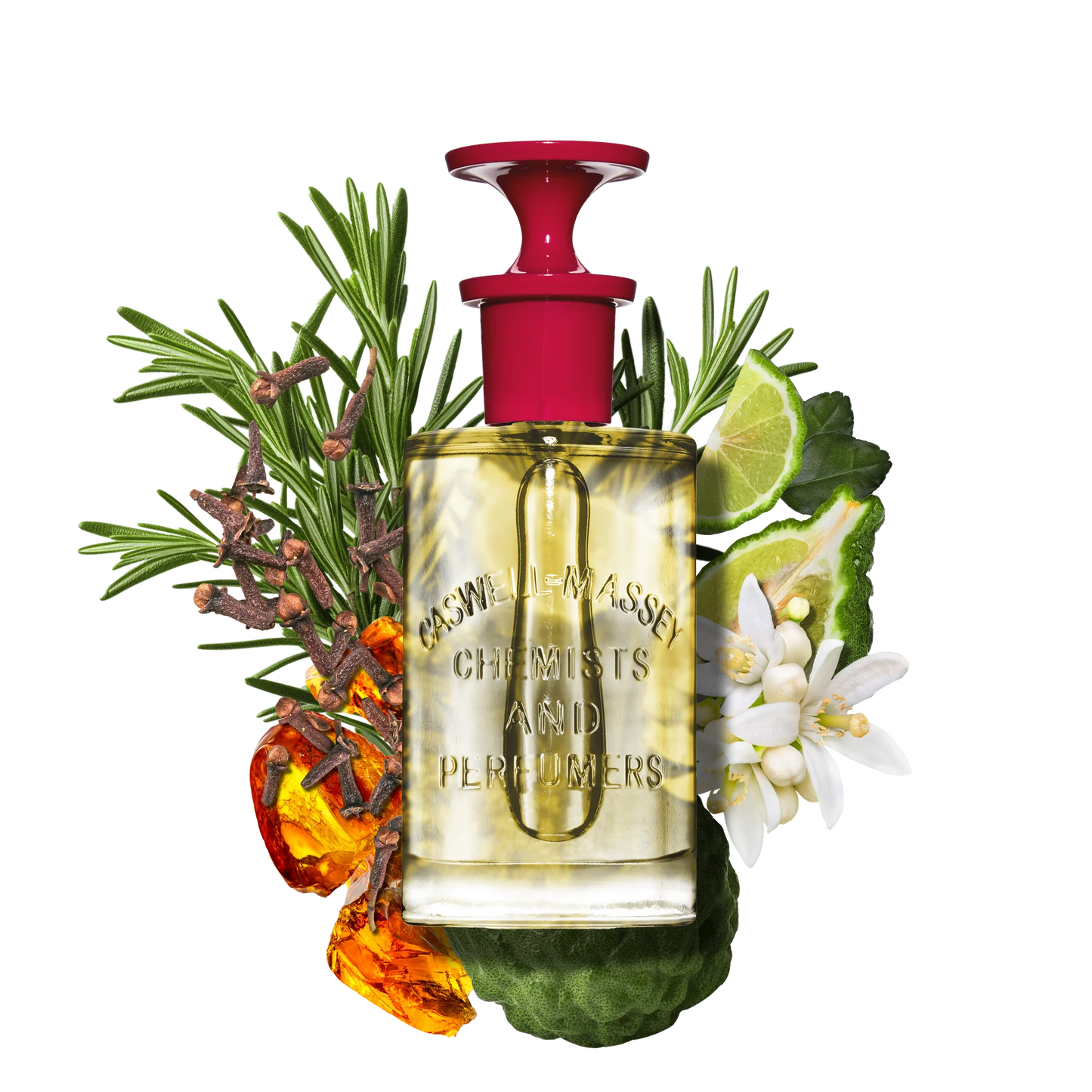 Number 6 Eau De Parfum - 100ml