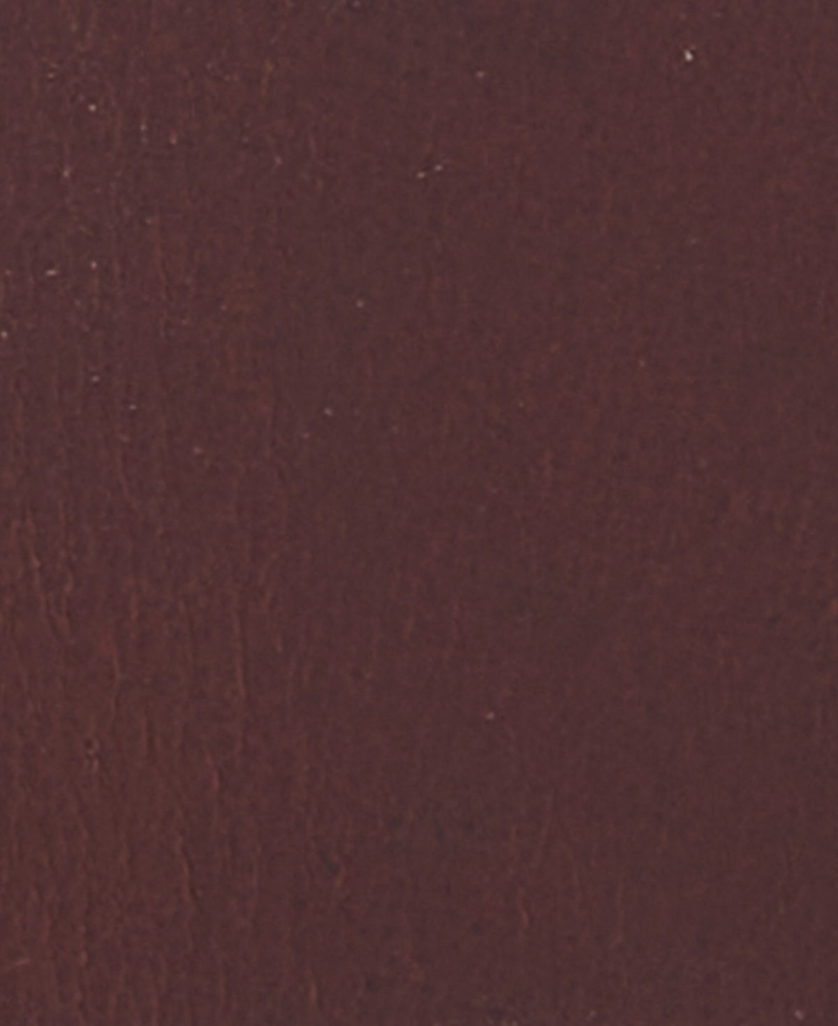 Barbour Allanton Leather Belt in Classic Brown, image 3