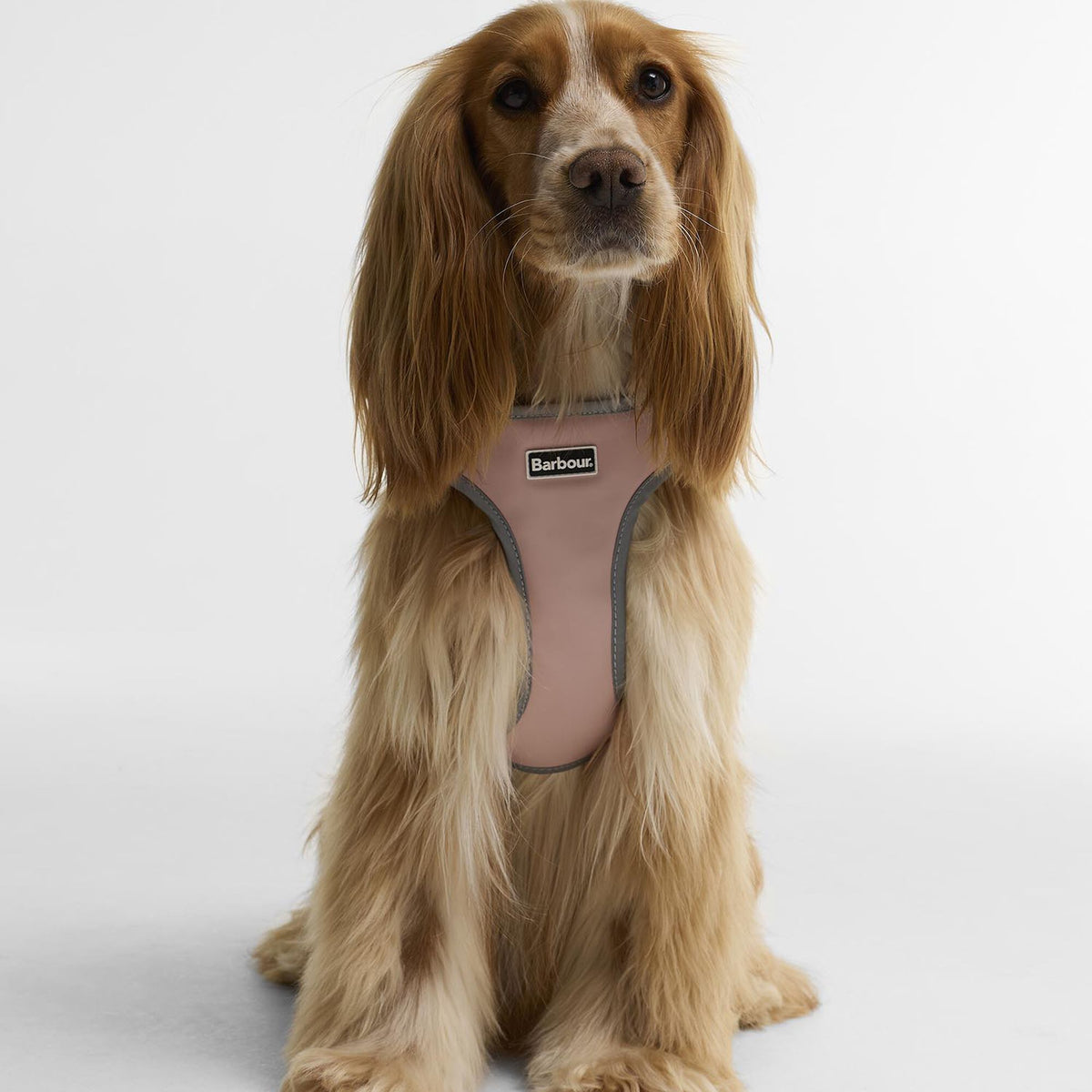 Barbour Evie Dog Harness in Gardenia Pink