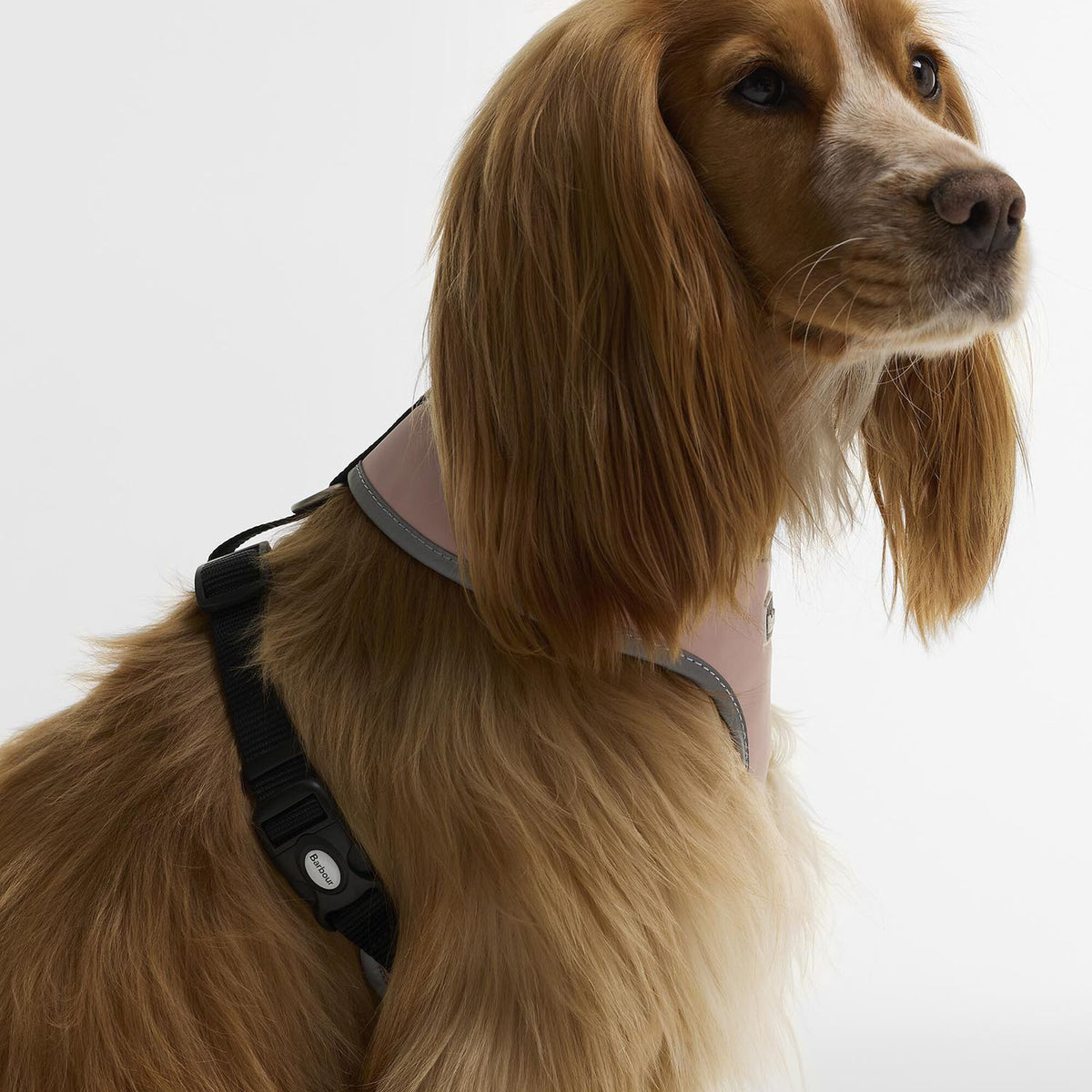 Barbour Evie Dog Harness in Gardenia Pink