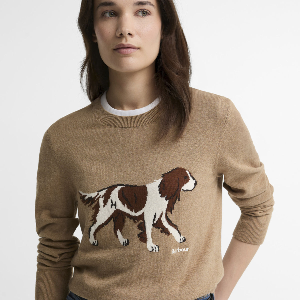 Barbour Fareham Crew Neck Jumper in Warm Trench, image 4